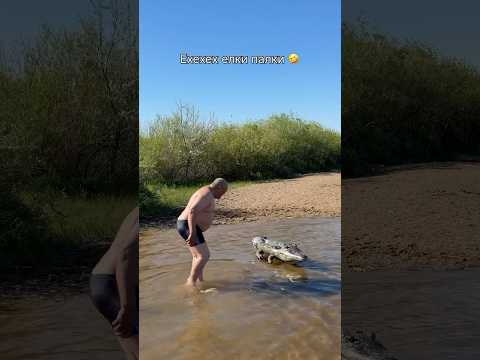 Простите 🤣🐊❤️ thumbnail