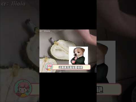 可是我觉得很神圣啊  #榴莲 #南宁 #万万没想到 thumbnail