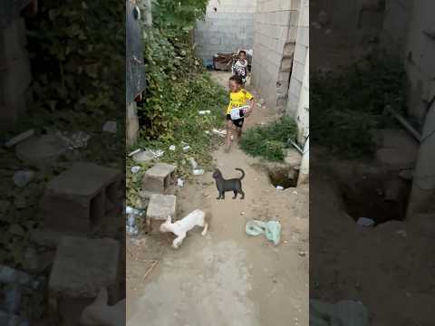 حمودي وعلولي طردوا القطه الجديدة ?‍⬛?‼️ #shorts thumbnail