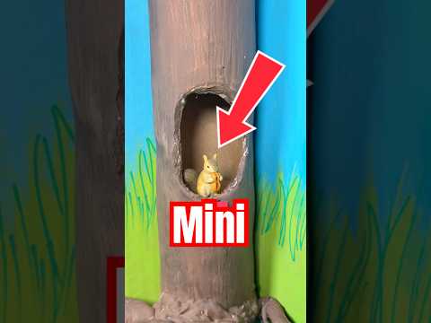 ANIMALES MINI😳❤️ Mini Ardilla!🐿️🌰 #hellomon #abriendojuguetes #juguetes #minibrands thumbnail