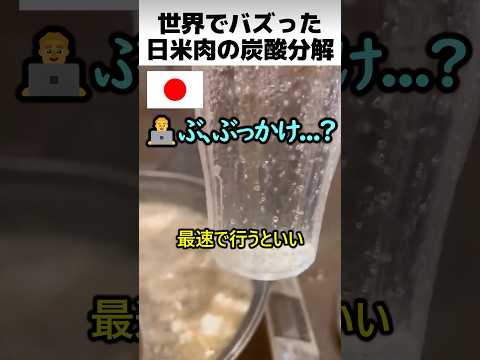 日米肉の炭酸分解方法 thumbnail