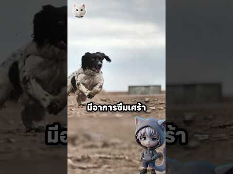 Broken Heart ? thumbnail