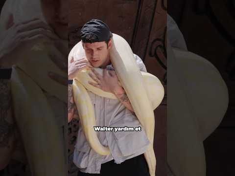 YILAN TAŞIMAK BİZİM İŞİMİZ! thumbnail