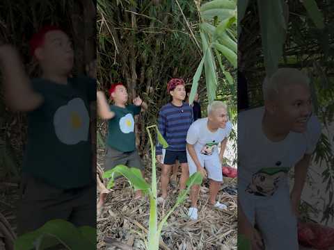 Kalian kalo lagi main sama temen suka gangguin orang mancing juga ga⁉️🤯 #shorts #lucu #kocak thumbnail