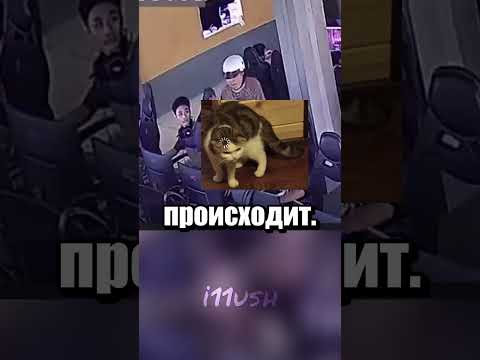 В поисках внука thumbnail