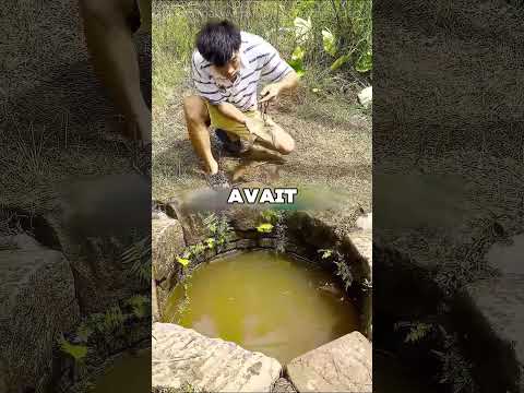 Cet homme a vengé sa tortue 😯❤️ thumbnail