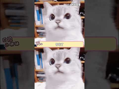 咪：最讨厌事后道歉了！！！ #猫咪 #可爱 #吃西瓜 #万万没想到 #离谱 thumbnail