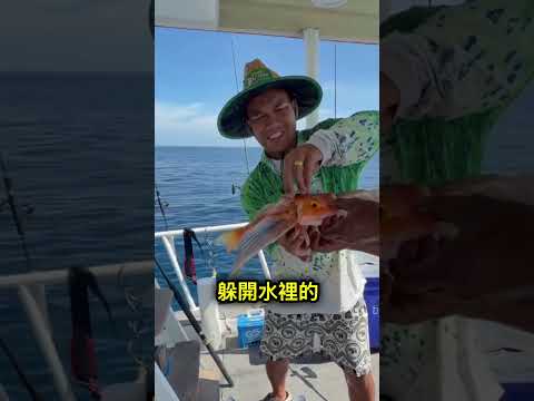 這種魚的翅膀不是拿來飛的 🤔 thumbnail
