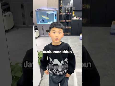 เด็กชายถึงกับงอน! เมื่อปลาที่พ่อซื้อมาใหม่มันไม่ถูกใจ #shorts #knowledge #viral #เลี้ยงปลา thumbnail