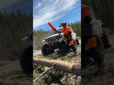 Getting some trees that fell over cut and moved off the trail with the @STIHLCanada MSA 300 thumbnail
