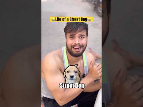 Life of a street dog?? #shorts #treding thumbnail