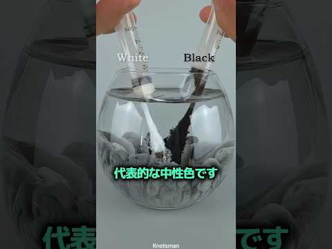 黒と白を混ぜると出てくる色 ? thumbnail