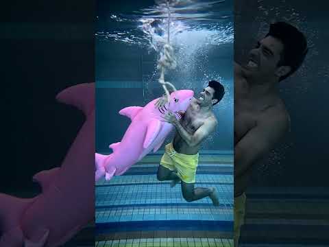 when the shark entered the pool ?? thumbnail