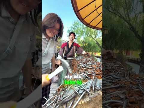Chỉ người thuần khiết mới đóng được chiếc đinh vào khúc gỗ thiêng thumbnail