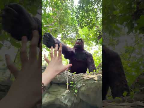 เอสซีพี่เค้า thumbnail