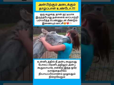அன்பிற்கும் அடைக்கும் தாழ்ப்பாள் உண்டோ.!!!! #shorts thumbnail