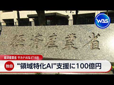 【独自】“領域特化AI”支援に100億円 経済産業省　サカナAIなど16社【WBS】 thumbnail