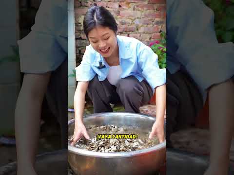 La hermana se asustó con cangrejos, ¡eran para cenar fritos! ??? thumbnail