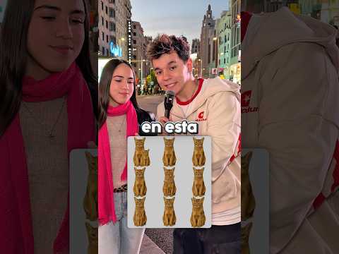 Cuántos GATOS hay en esta IMAGEN?🤔 thumbnail