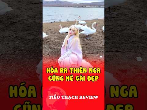 Hóa ra thiên nga cũng mê gái đẹp #shorts thumbnail