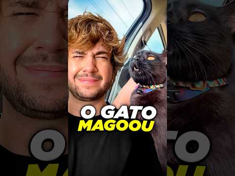 magoou :( @effembergviana #livedobrino #humor #MundinhoBrino thumbnail
