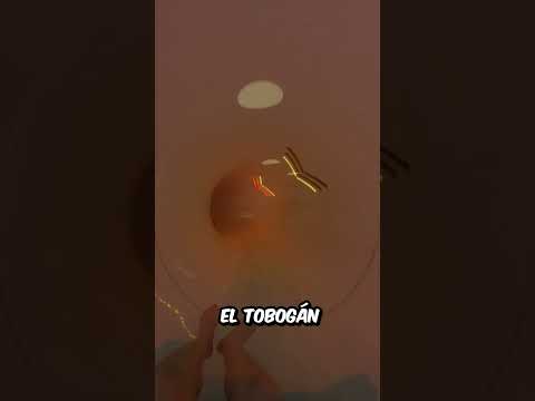 Esto es lo QUE PASARÍA si te TIRAS desde uno de los TOBOGANES acuáticos más GRANDES del MUNDO thumbnail