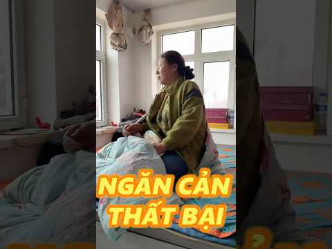 VẪN KHÔNG CỨU NỔI CHỊ DÂU TÂY - P2 thumbnail