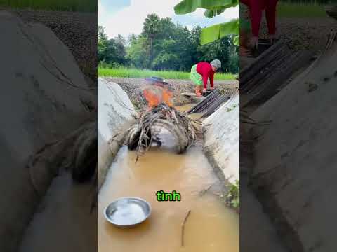 Rửa bát kiểu mới 😂 thumbnail
