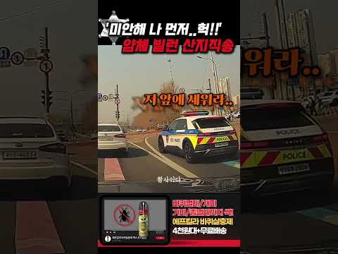 '미안 나 먼저..헉!!' 차선위반 얌체빌런 산지직송 참교육 thumbnail