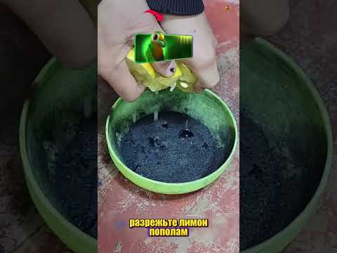@27_crew ДОМАШНИК УГЛИ thumbnail