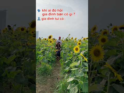 Gia đình tui có #funny thumbnail