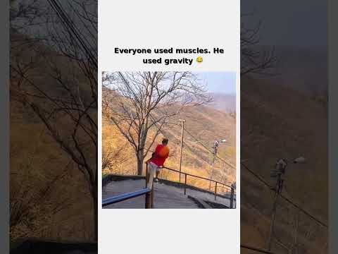 The stairs were optional 😄 follow for more #shorts thumbnail