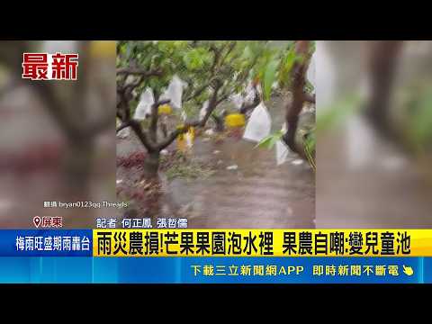 雨災農損!芒果果園泡水裡 果農自嘲:變兒童池｜三立新聞網 SETN.com thumbnail