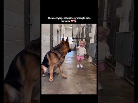 குழந்தையோடு குழந்தையாக?? #kanyakumaridoglover #care #rescue #adoption #pets thumbnail