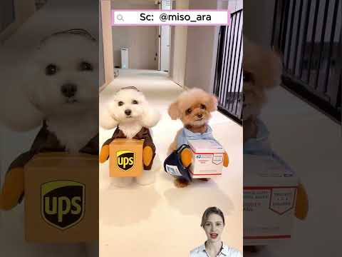 🌧️📦 Trời Mưa Nên Giao Hàng Trễ #shorts thumbnail
