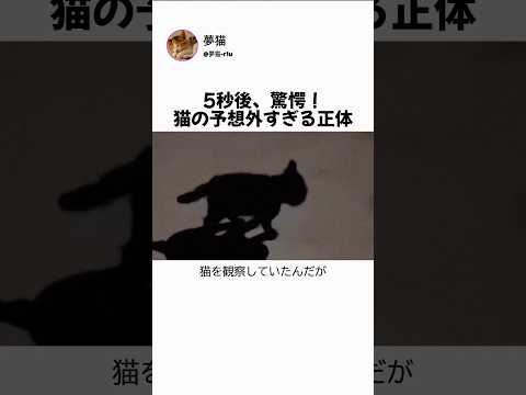 猫の予想外すぎる正体 thumbnail