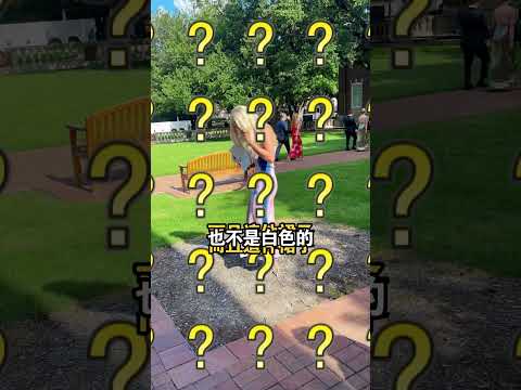 她穿白裙參加閨蜜婚禮，以為是來搶風頭，結果全是誤會（TT：@styledbysaylor） thumbnail