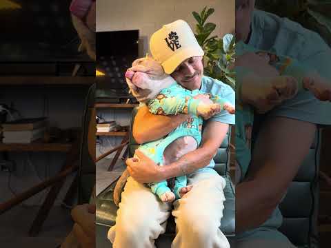 Hora de Dormir e Marê já está com seu Pijama 🐾🤩 thumbnail