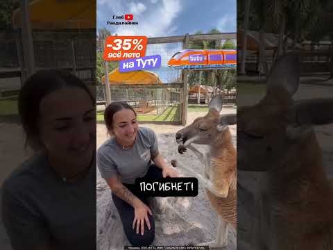 Детёныш Кенгуру Это Нечто 🦘 thumbnail