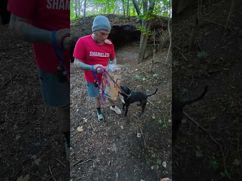 Эксклюзивный контент в ТГК pawNEpaw thumbnail
