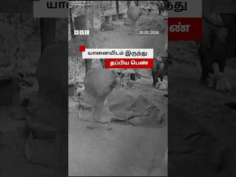 திடீரென துரத்திய காட்டு யானை; உடனடியாக சுதாரித்துக்கொண்டு தப்பிய பெண் thumbnail