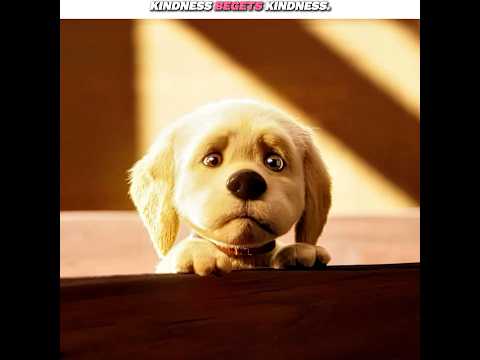 “Kindness Begets Kindness..” | Edit #shorts #sad thumbnail