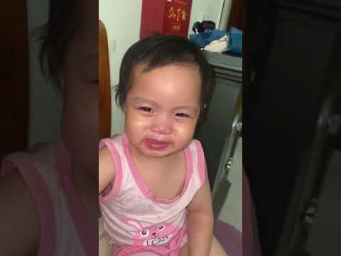 Này thì đi chơi không à thumbnail