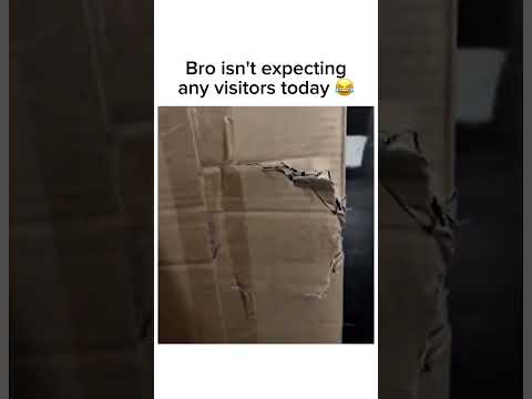 Bro isn't expecting any guests today 💀 follow for more #shorts thumbnail