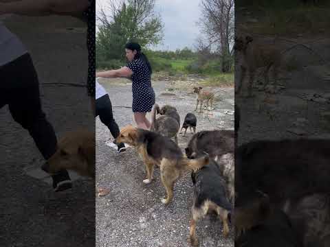 Волгоград ну здравствуйте ?‍♂️ thumbnail