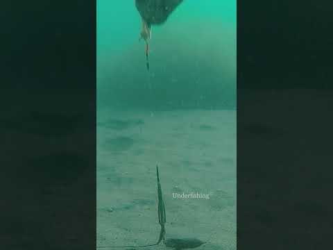 Is this why I’m not catching anything? thumbnail