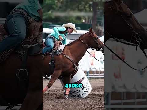 Khoảnh khắc khiến cả trường đua im lặng thumbnail