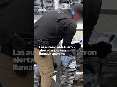 Cae megacargamento de droga; ocultaban casi una tonelada de metanfetamina en jícamas thumbnail