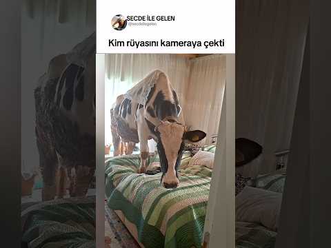 Kim rüyasını kameraya çekti thumbnail