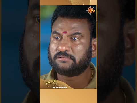 #Kayal #SunTV #shorts #tamilserial thumbnail